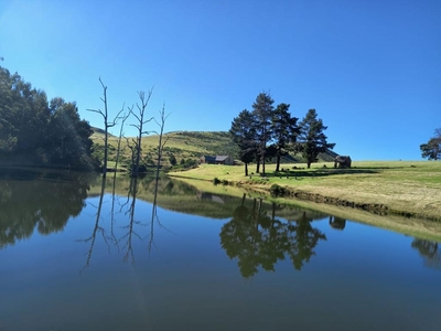 Wetlands Game Lodge