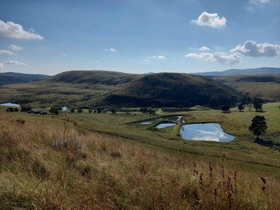 Wetlands Game Lodge