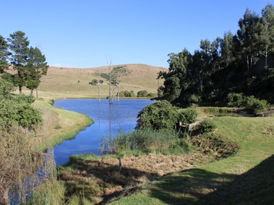 Wetlands Game Lodge