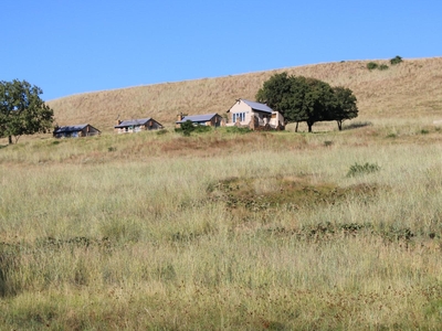 Wetlands Game Lodge