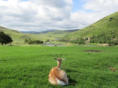 Wetlands Game Lodge