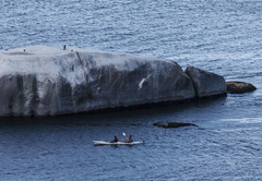 Whale View Manor Guesthouse