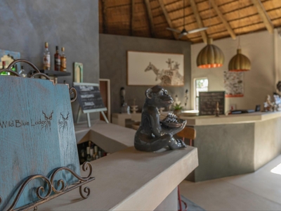 The Wild Blue Lodge Safari & Spa