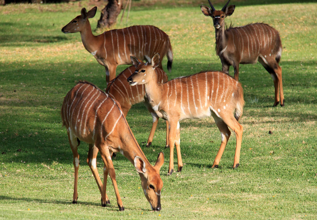 Wildehondekloof Lodge