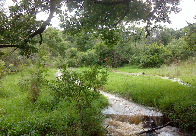 River in flood