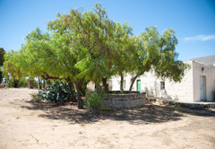 Peperboom Cottage