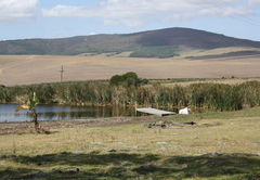 Willowdale Farm Cottages