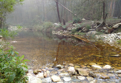 The river pool