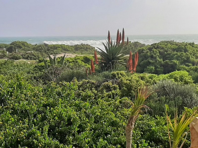 Wondersig Seafront Apartments in Lamberts Bay, Western Cape