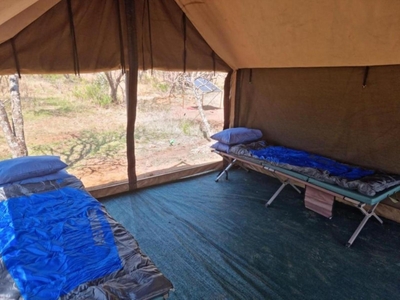 Zebra Nature Reserve Little Tents 