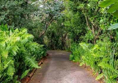 Zimbali Lodge