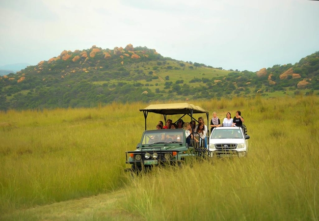 Zuikerkop Country Game Lodge